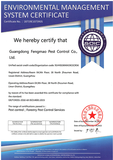 1_0004_2、2019-2025年环境管理体系认证证书（英文版）.png