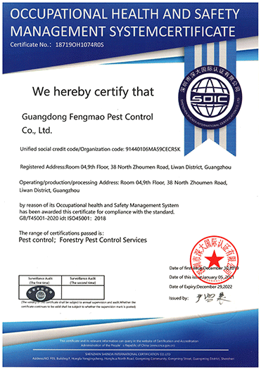 1_0002_3、2019-2025年职业健康安全体系证书（英文版）.png